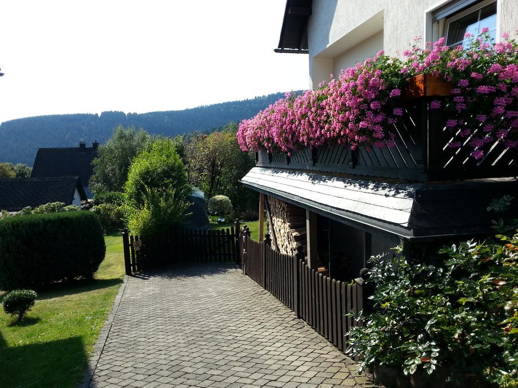 Ferienwohnungen Luge - Winterberg Esterno foto