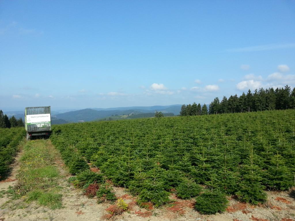 Ferienwohnungen Luge - Winterberg Esterno foto