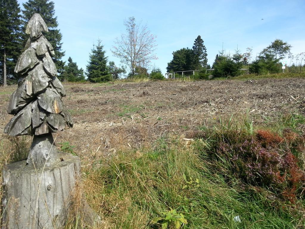 Ferienwohnungen Luge - Winterberg Esterno foto
