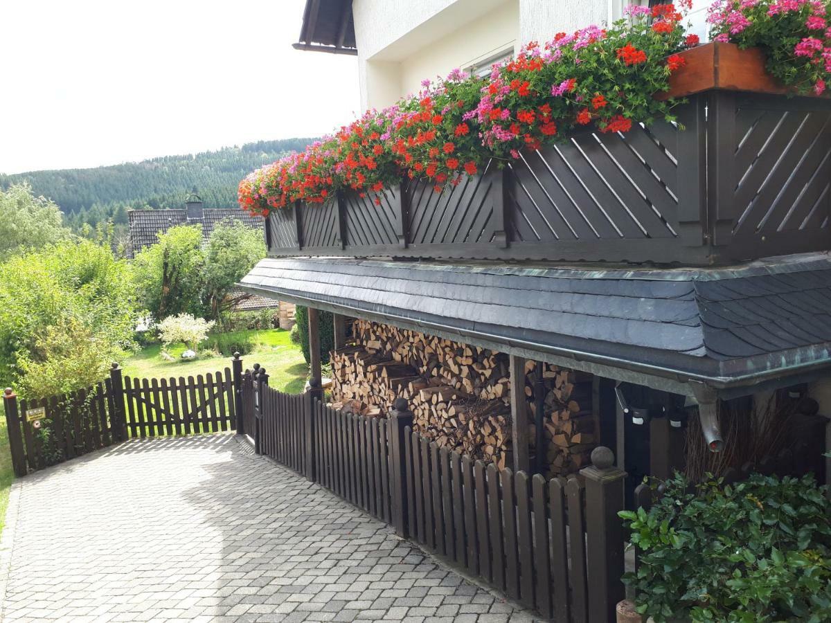Ferienwohnungen Luge - Winterberg Esterno foto