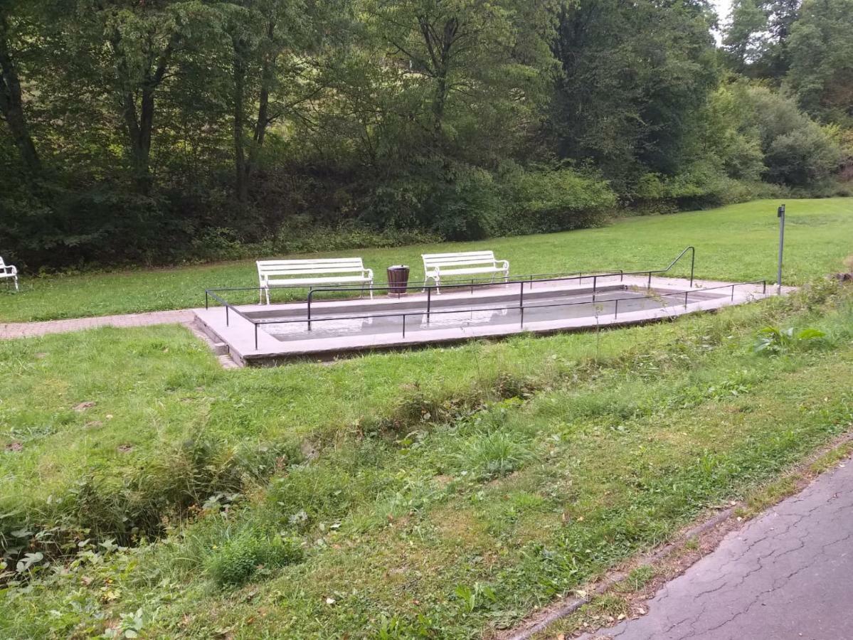 Ferienwohnungen Luge - Winterberg Esterno foto