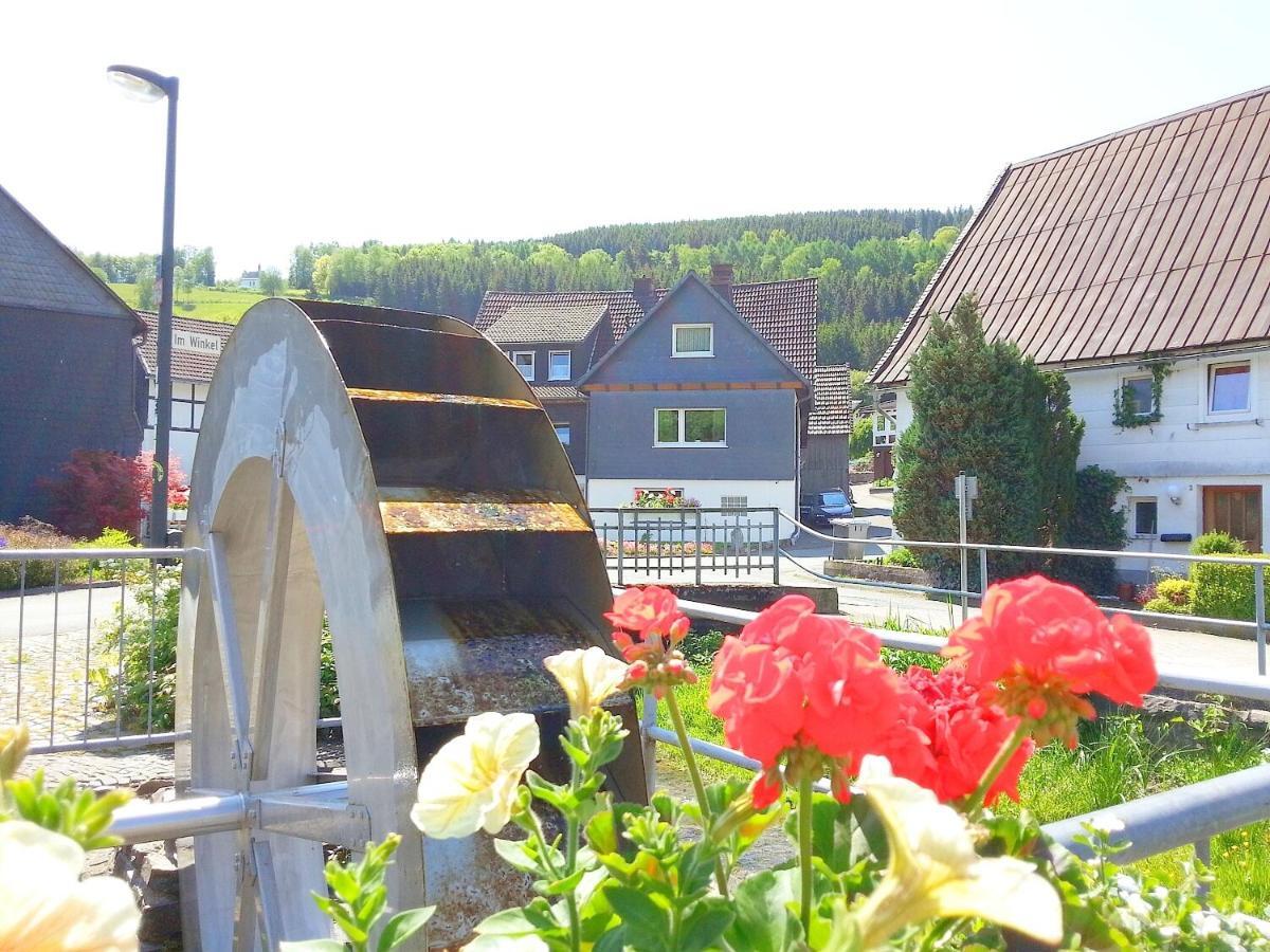 Ferienwohnungen Luge - Winterberg Camera foto